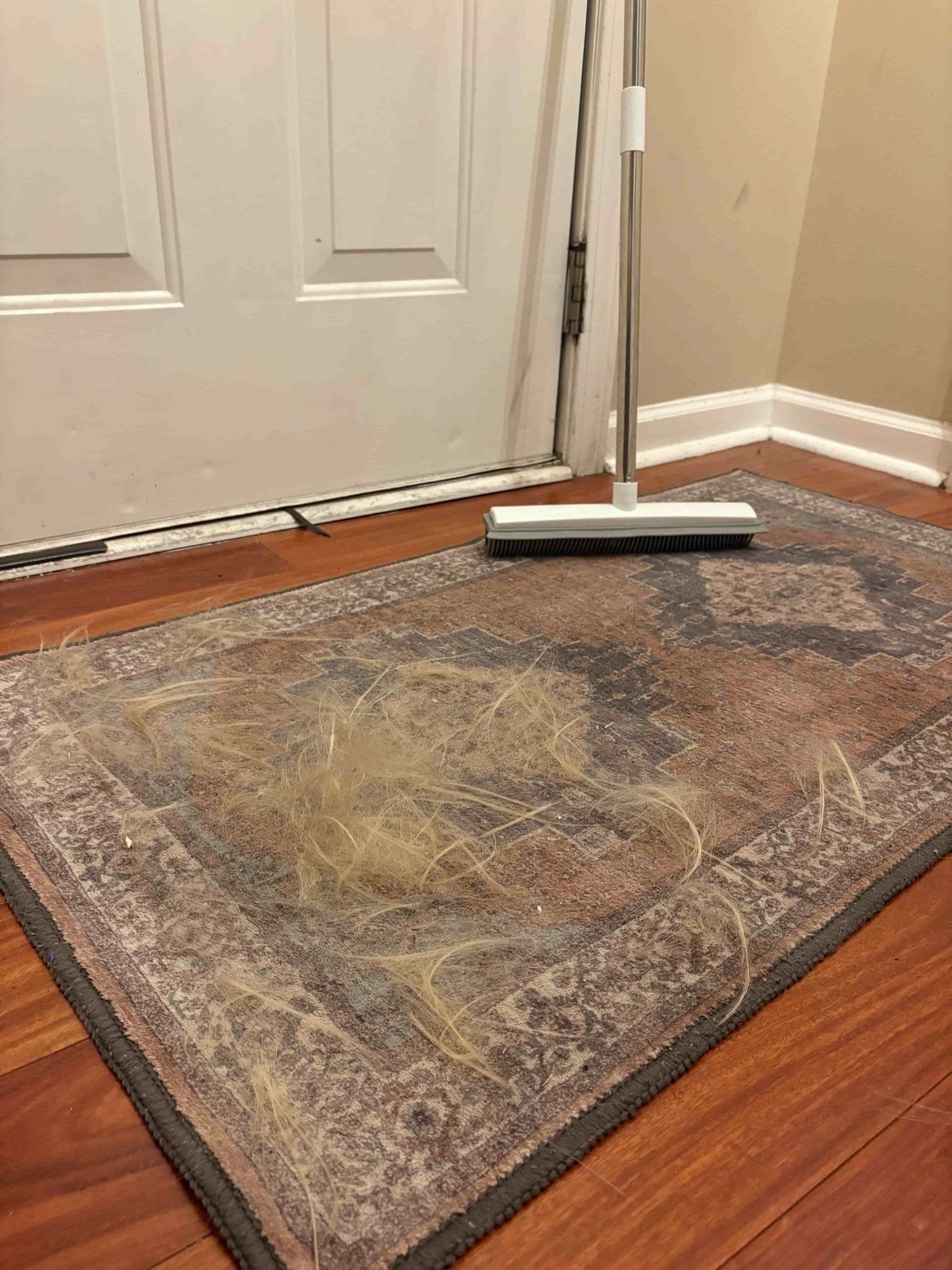Lift Embedded Pet Hair Your Vacuum Leaves Behind